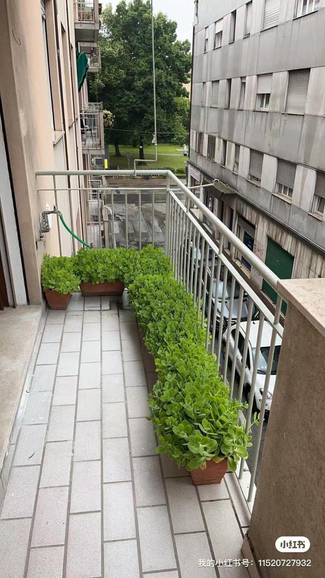 Marco Polo House Apartment Mestre Bagian luar foto